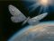 Winged Satelite by Vladimir Kush